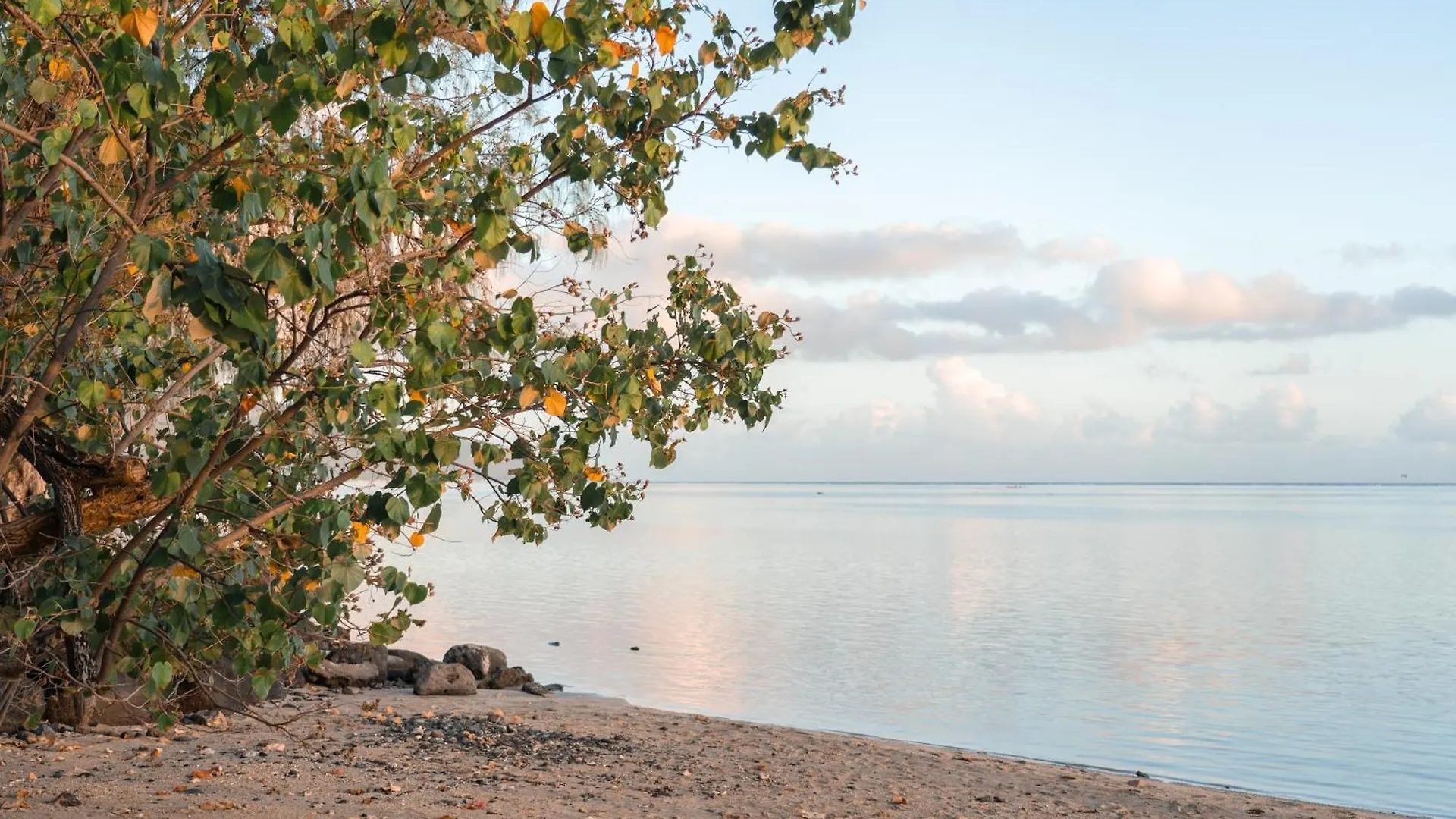 Punaauia  Le Reve Tropical Proximite Plage Et Commerces 0*, Punaauia (Tahiti) פולינזיה הצרפתית